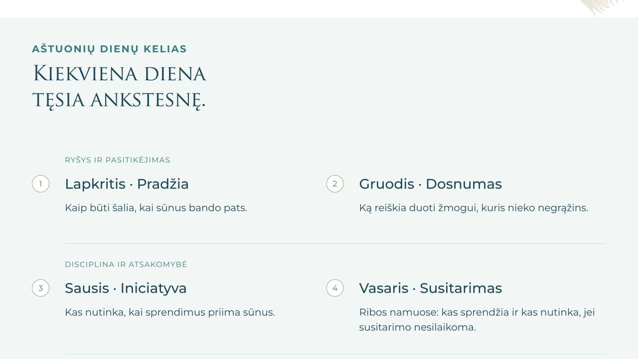 Vyrų Kalvės Akademijos programos susitikimų kelias kompiuterio ekrane.