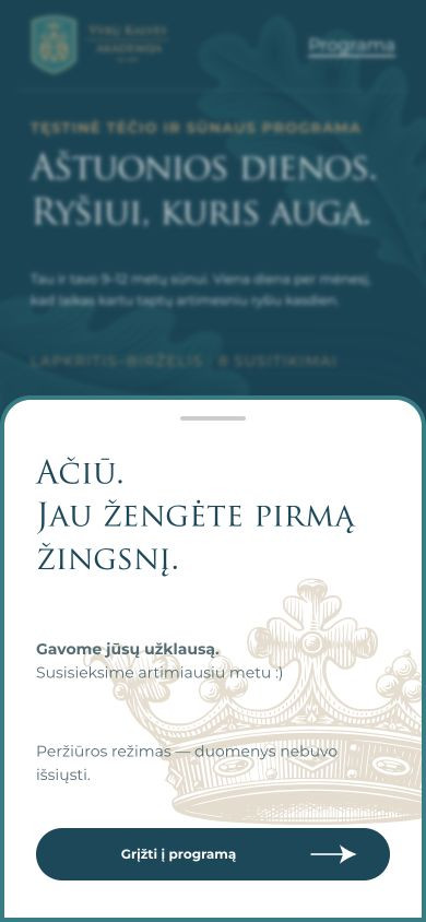 Demonstracinė užklausos patvirtinimo būsena telefone.